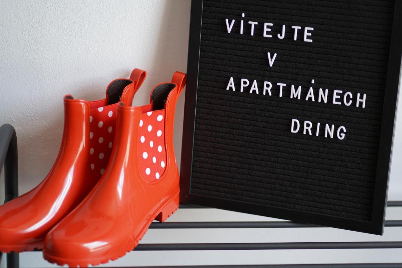 Apartmány Dring Vaclavov u Bruntalu Kültér fotó